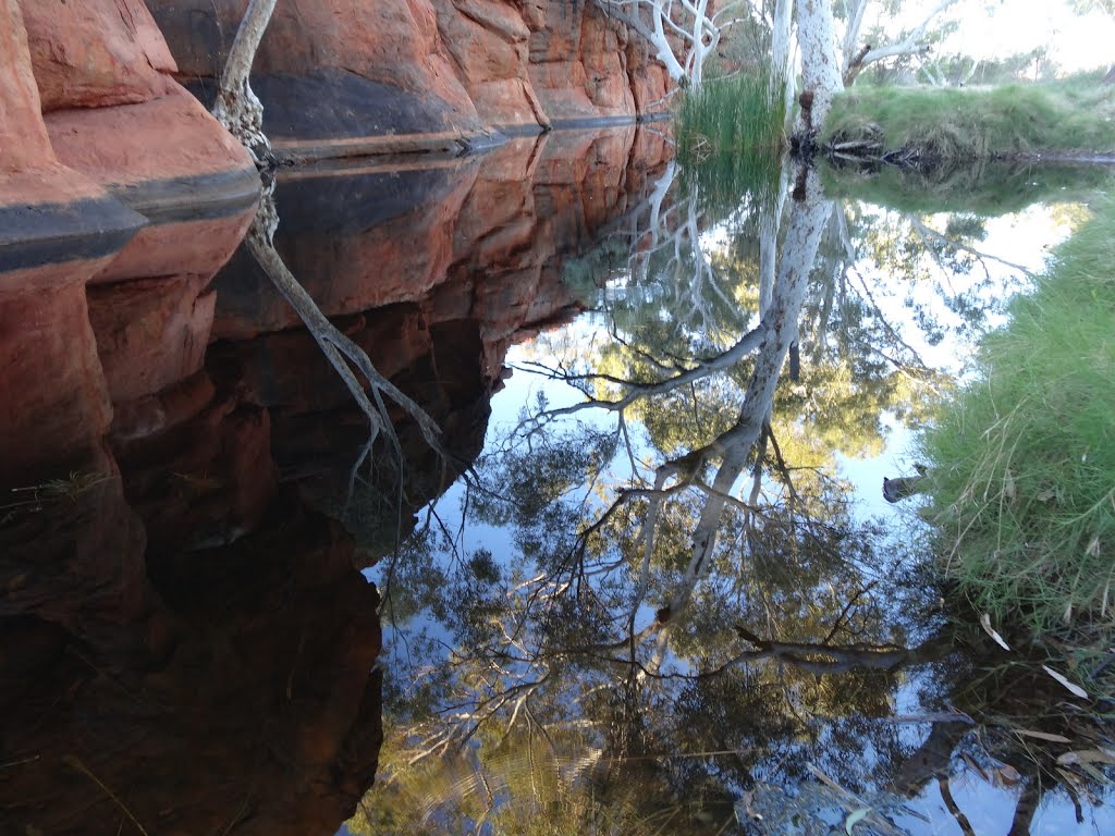 Durba Springs by Warwick Sellens