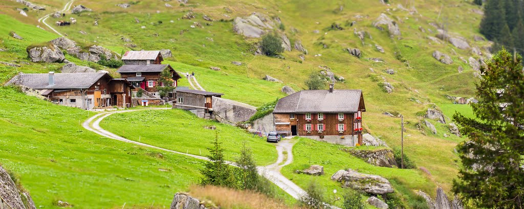 Auf Göscheneralp by Priska Ziswiler