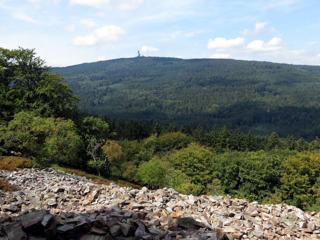 Weiße Mauer mit Großem Feldberg im Hintergrund by Frank Frankenstein