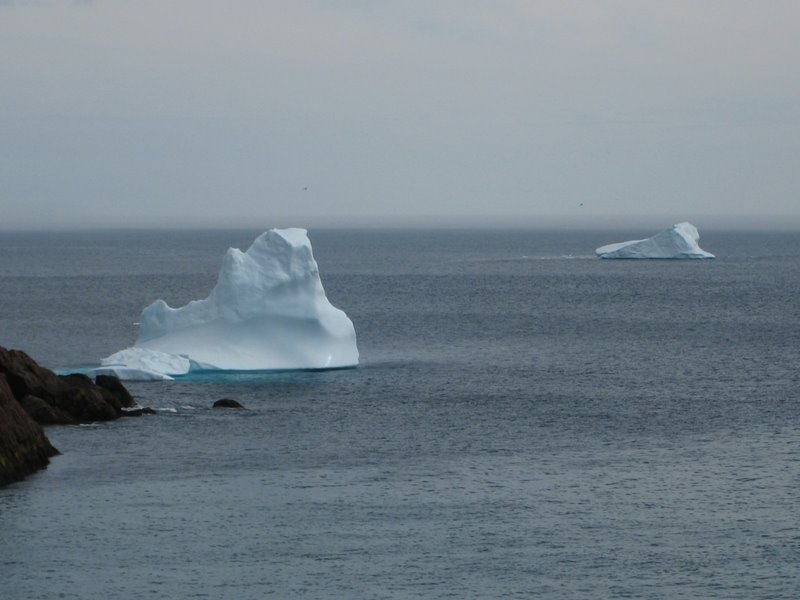 Iceberg from Fort Amherst by theomysh