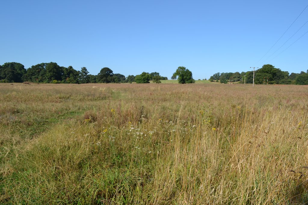 Chilwell Dam Farm, Nottingham 2014. Looking West. by Richard Horry