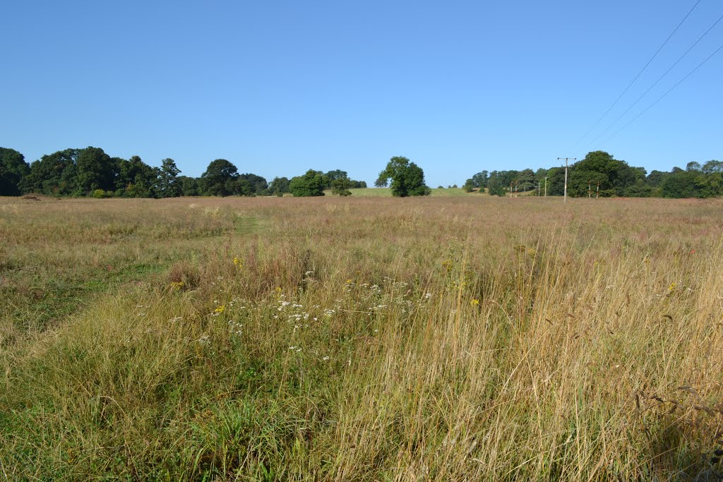 Chilwell Dam Farm future site of Woodhouse Park Housing Estate by Richard Horry