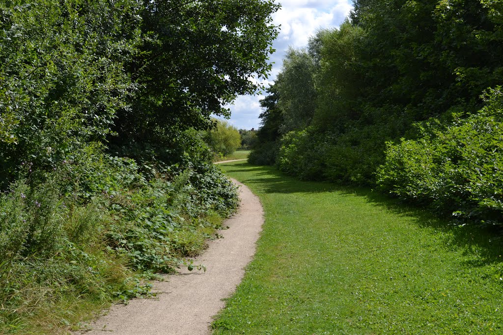 Broxtowe Country Park, Nottingham by Richard Horry