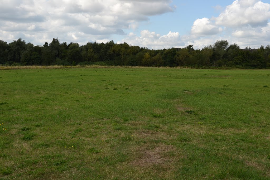 Broxtowe Country Park, Nottingham 2014. Looking South East. by Richard Horry