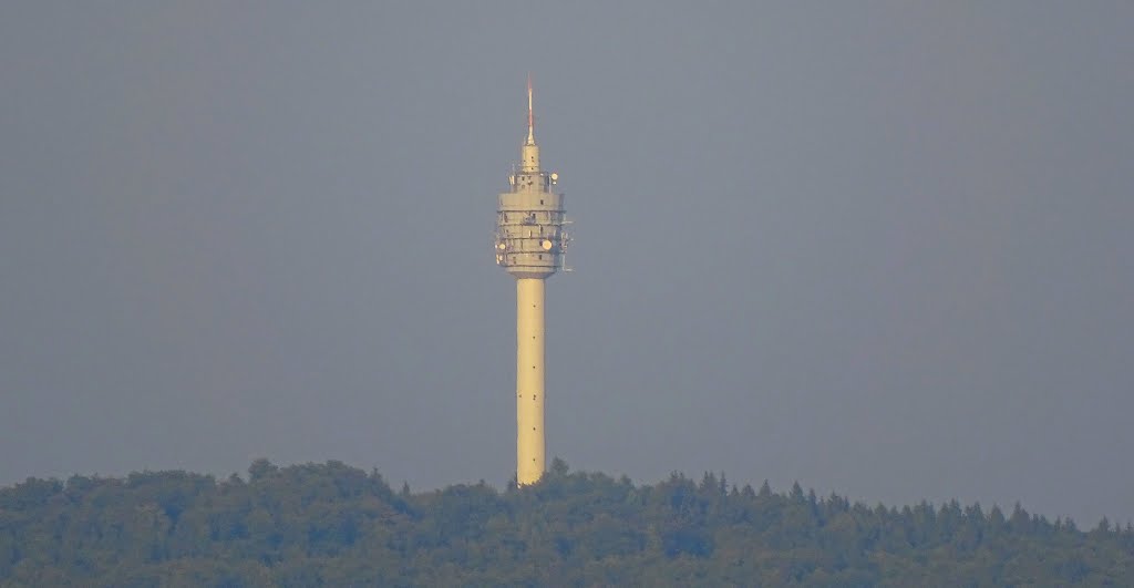 Blick von der Königslehde zum Kulpenberg by Andreas B. OTTE