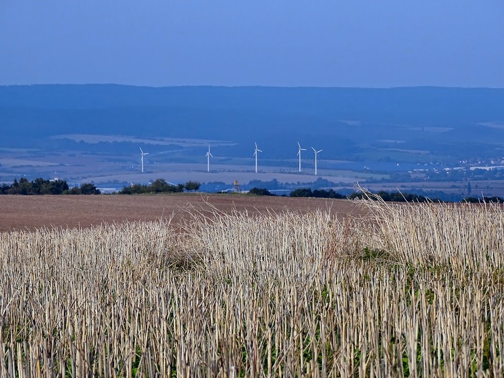 Königslehde Blick nach Roßla by Andreas B. OTTE