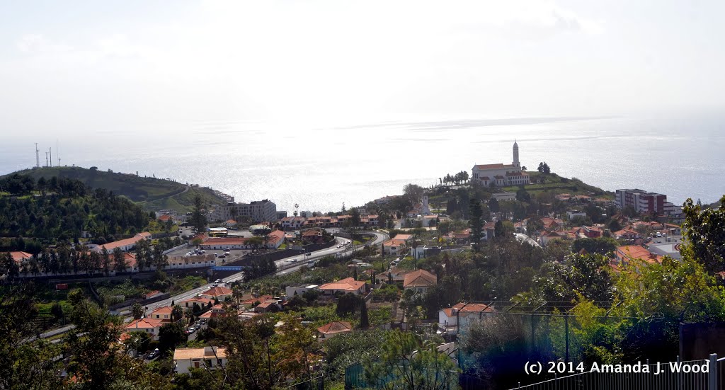 View of Funchal from Pico dos Barcelos by Amanda J. Wood