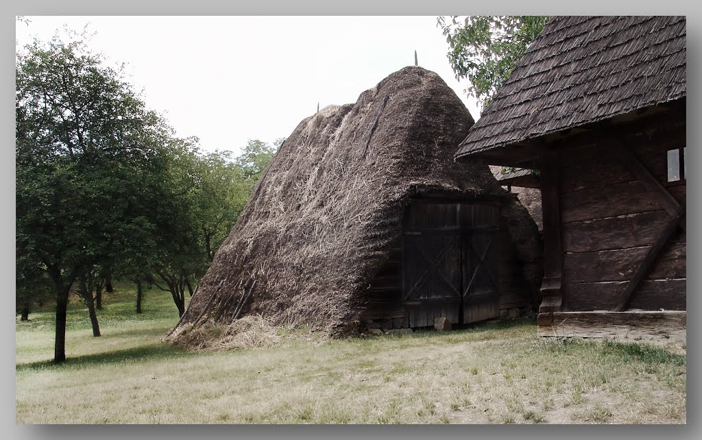 Csak szép sorban... by László Tóth