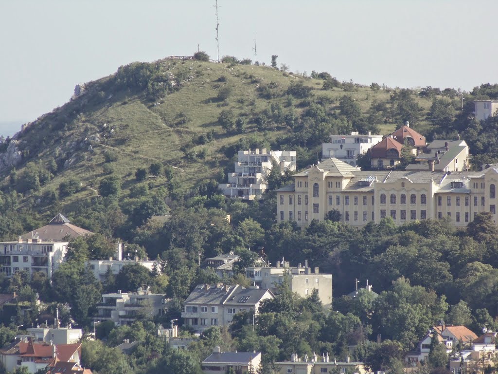 Budapest, Kissvábhegy, Hungary by Verőczi Zoltán