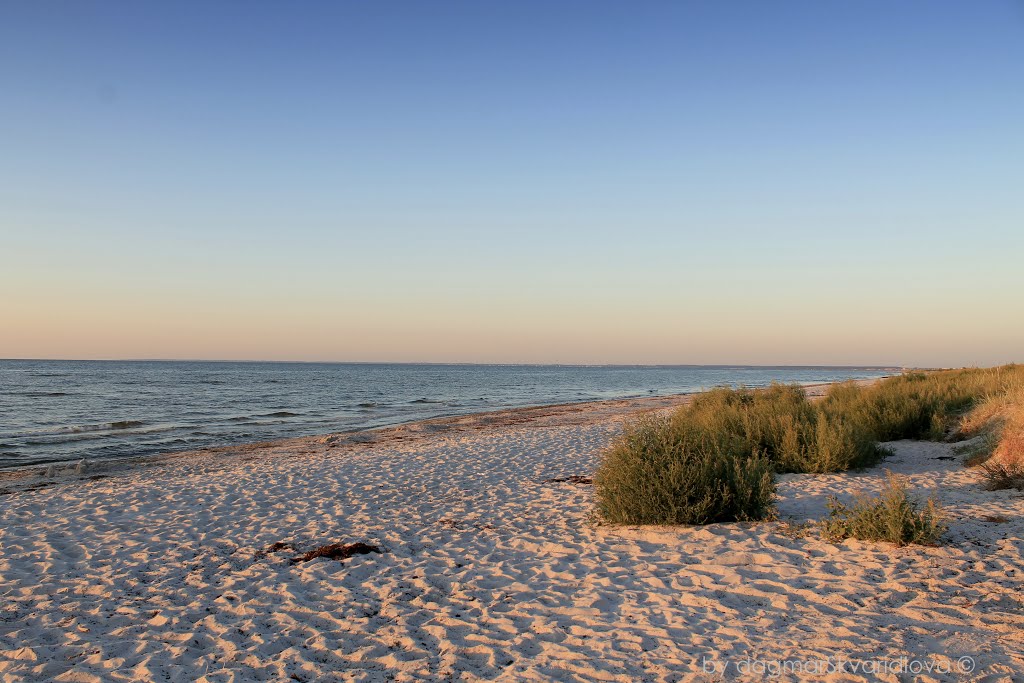 Jersie Strandpark, in the light of sunrise by Dagmar Škvaridlová