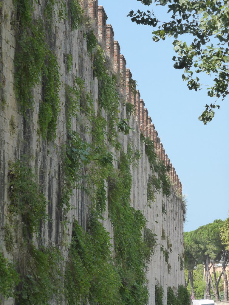 Nördliche Stadtmauer von Pisa, Toskana, Italien by Fredy Kim