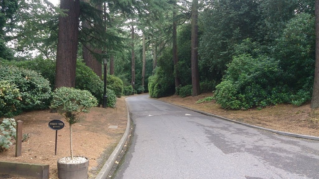 The driveway, Pennyhill Park by Mick M