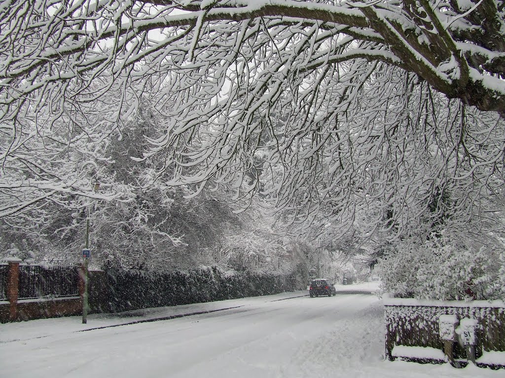 Charlbury Road by Smithsabroad