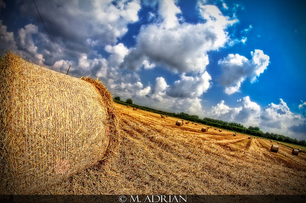 Field, bale of straw, Wesseling, Germany by Marcin Adrian