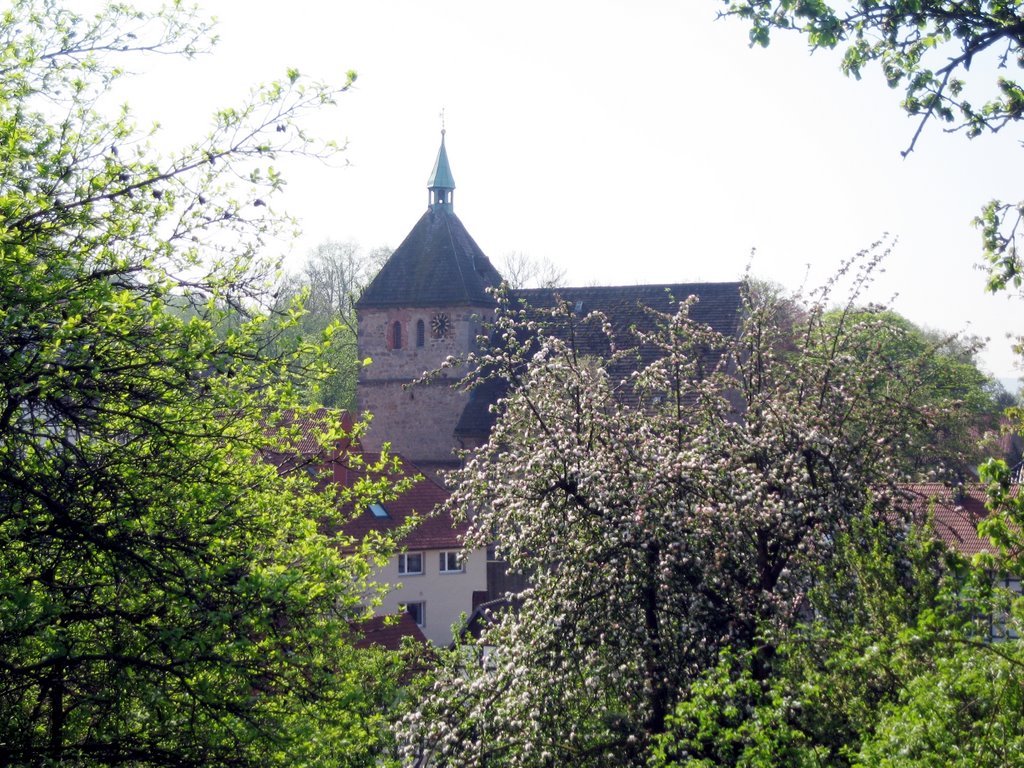 Salzhemmendorf Kirche by Schnurbusch