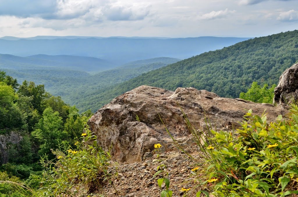 View from Overall Run Falls Overlook by Justin P