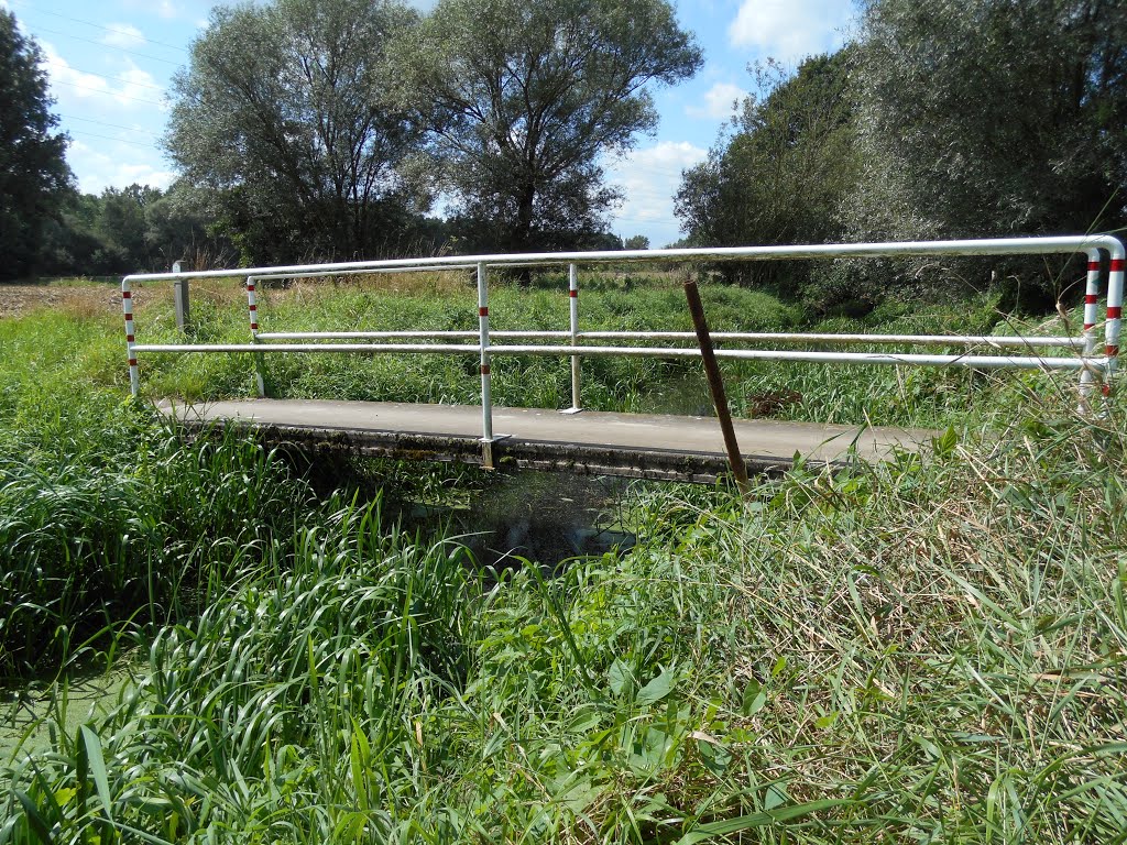 België, Haacht - bruggetje over de Binnenbeek- Augustus 2014 by Walter vervloet