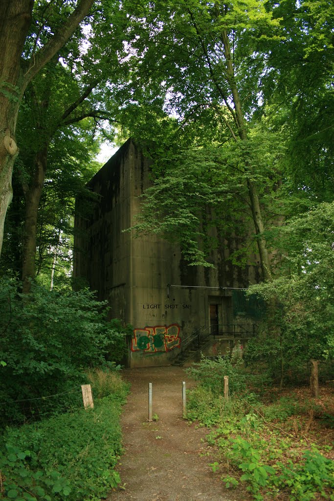 Bunker Bürgerpark Bremen 2014 by Sascha Nentwig