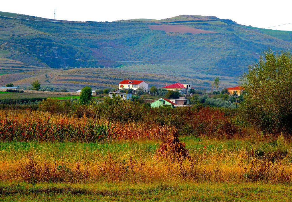 Shqipëria: Mblantë... by Giorgos Kiassas