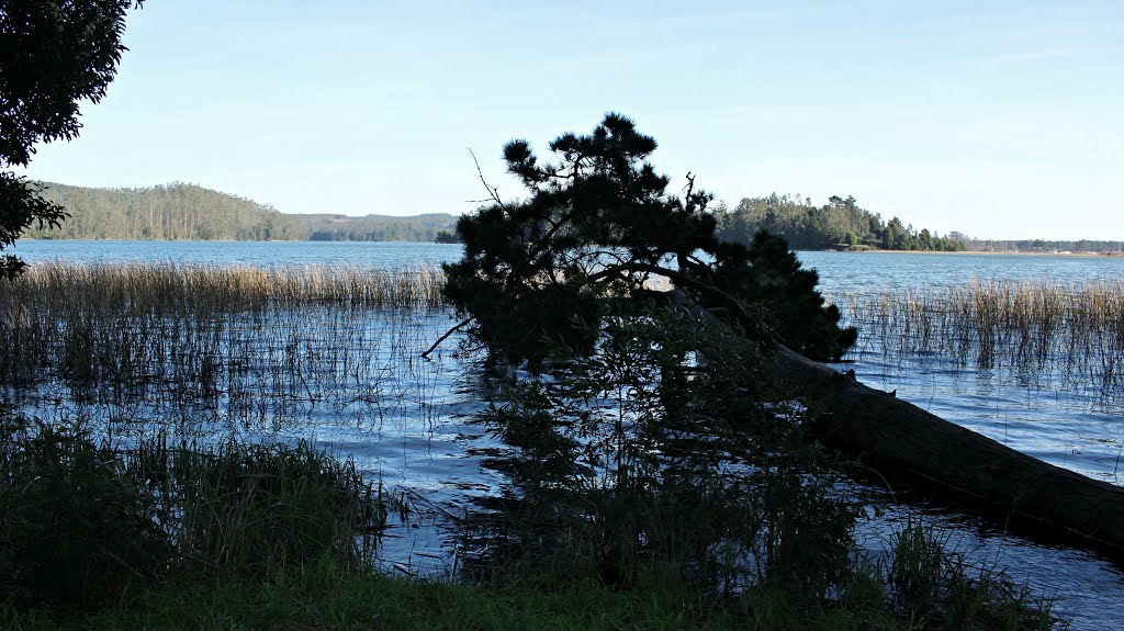 Laguna San Pedro, San Pedro de La Paz, Chile by Susana Carrasco