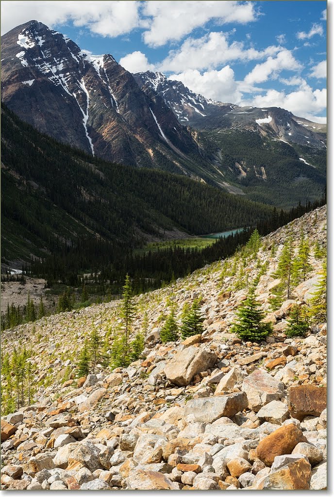 Jasper National Park by Senia IS