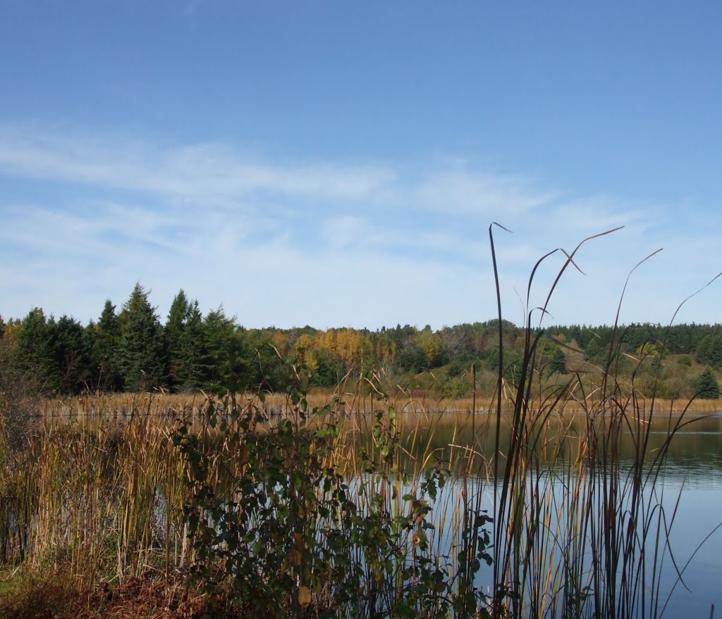 Nova Scotia, Amherst Point, Migratory Bird Sanctuary, Autumn colours by kh21