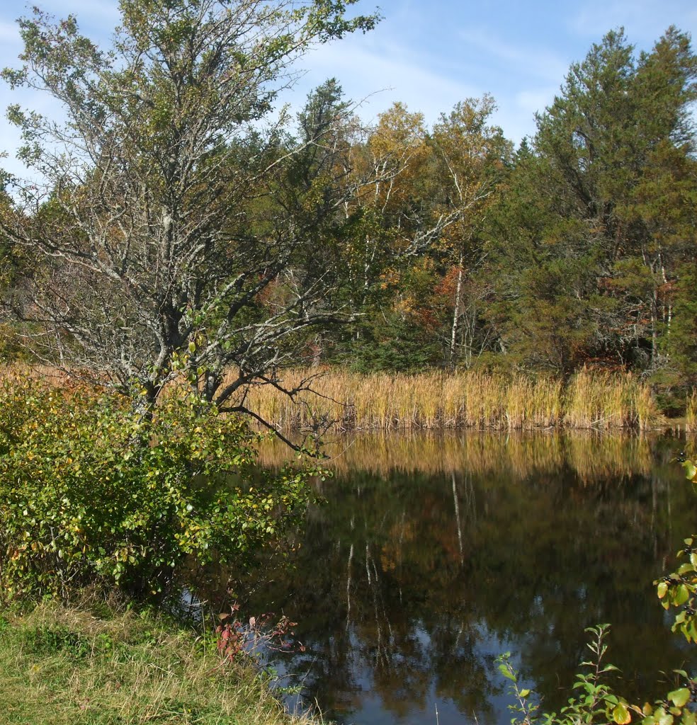 Nova Scotia, Amherst Point, Migratory Bird Sanctuary, Autumn colours by kh21