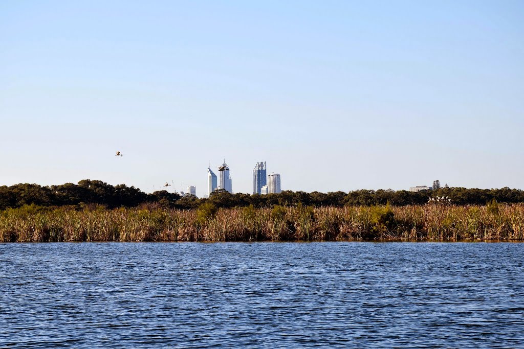 Herdsman Lake, Perth, Western Australia by Marc Hampton