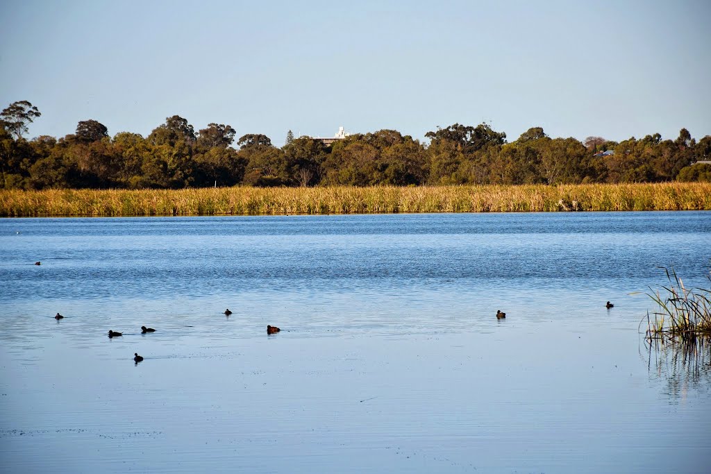 Herdsman Lake, Perth, Western Australia by Marc Hampton