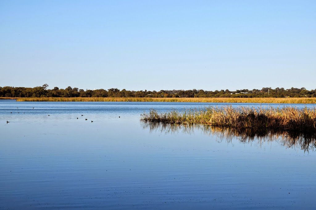 Herdsman Lake, Perth, Western Australia by Marc Hampton