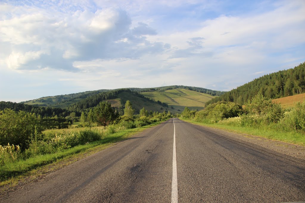 Mayminsky District, Altai Republic, Russia by lex67 25