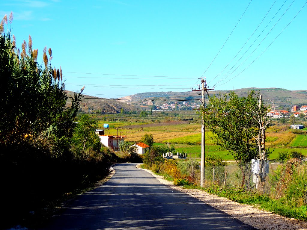 Shqipëria: Mblantë... by Giorgos Kiassas