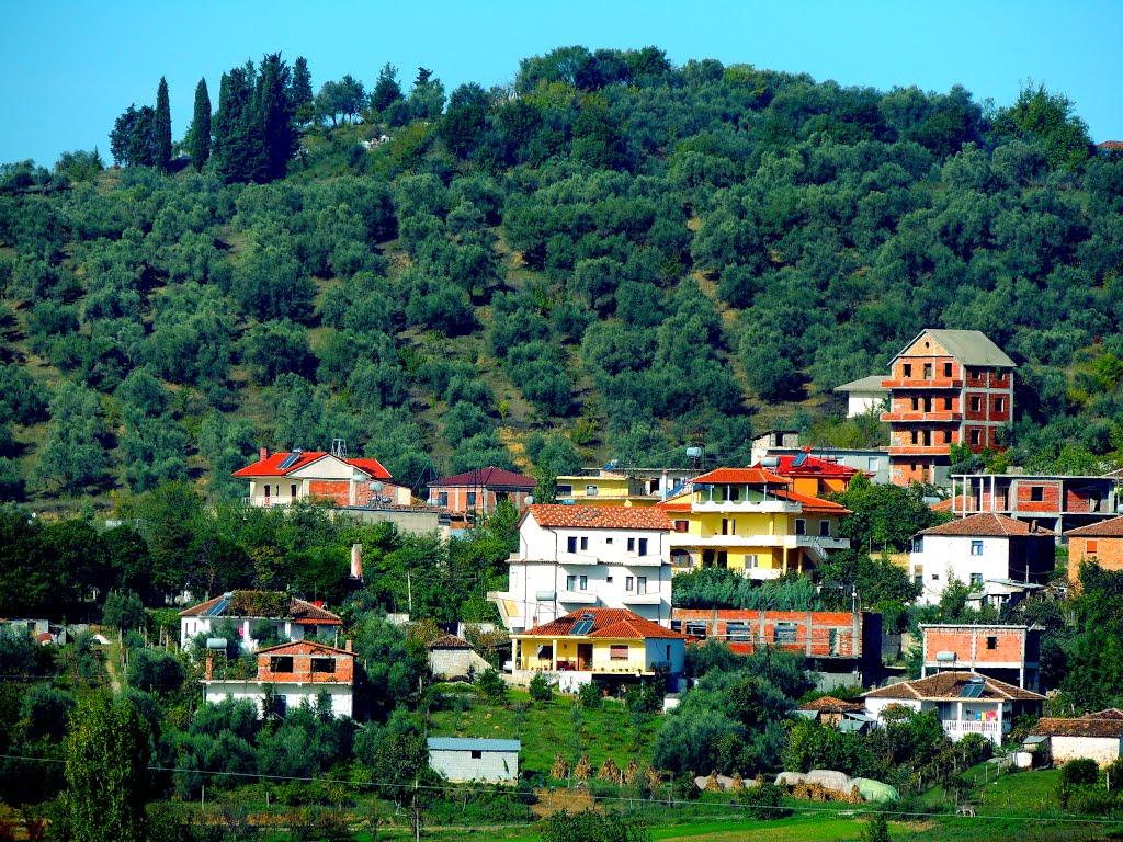 Shqipëria: Mblantë... by Giorgos Kiassas