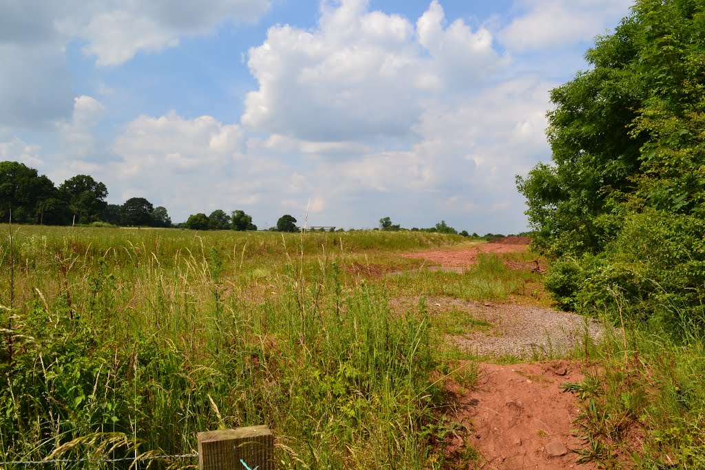 Chilwell Dam Farm, Nottingham 2014. Looking North. by Richard Horry