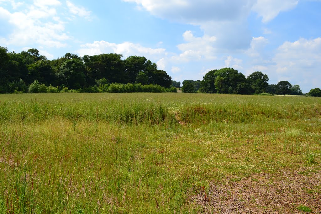 Chilwell Dam Farm, Nottingham 2014. Looking North West. by Richard Horry