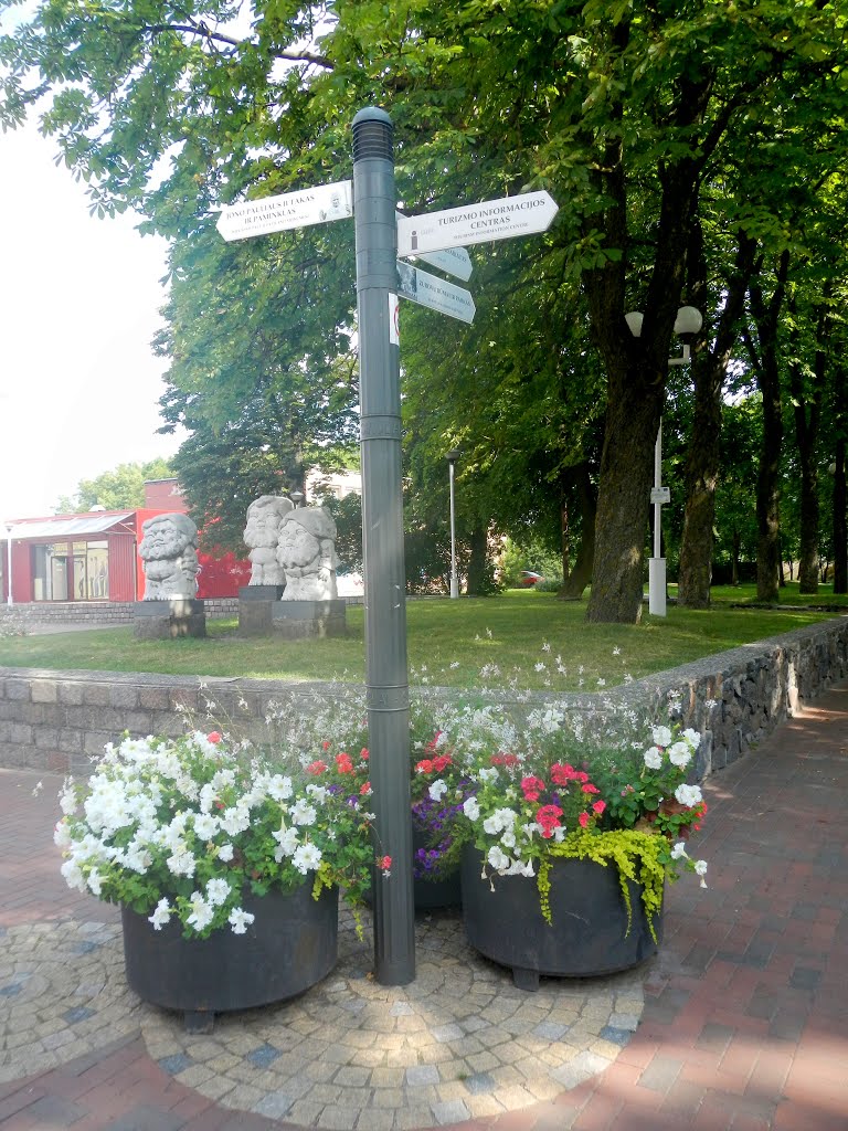 Gėlės, stulpas Šiaulių bulvare by Aurimas Nausėda