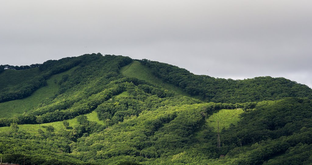 Nakhodka, Primorsky Krai, Russia by Стани�?лав Черемнов