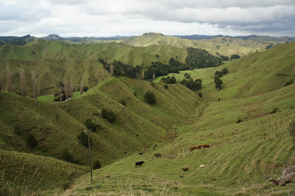 Mountainous pastures by Anatoly Chernyshev