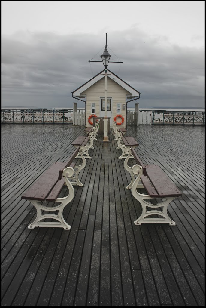 Penarth Pier by David Owen