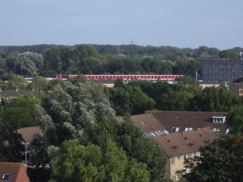 Hoogvliet 9-8-2014 by peter rotterdam