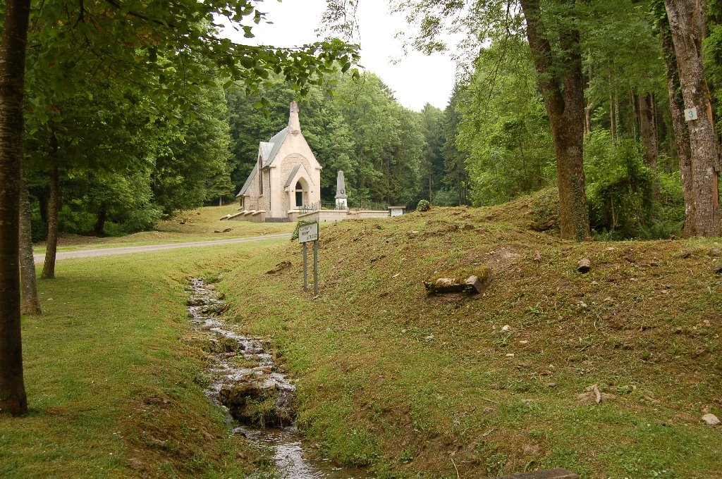 Hier stand einst das Dorf Beaumont en Verdunois by CptHornblower