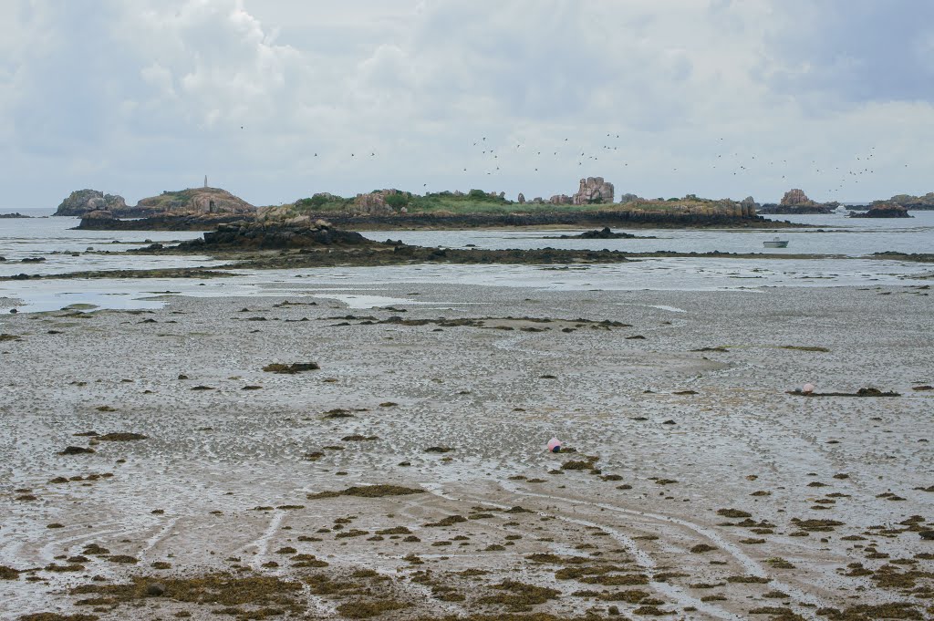 Île-de-Bréhat, France by Olga Ivanova