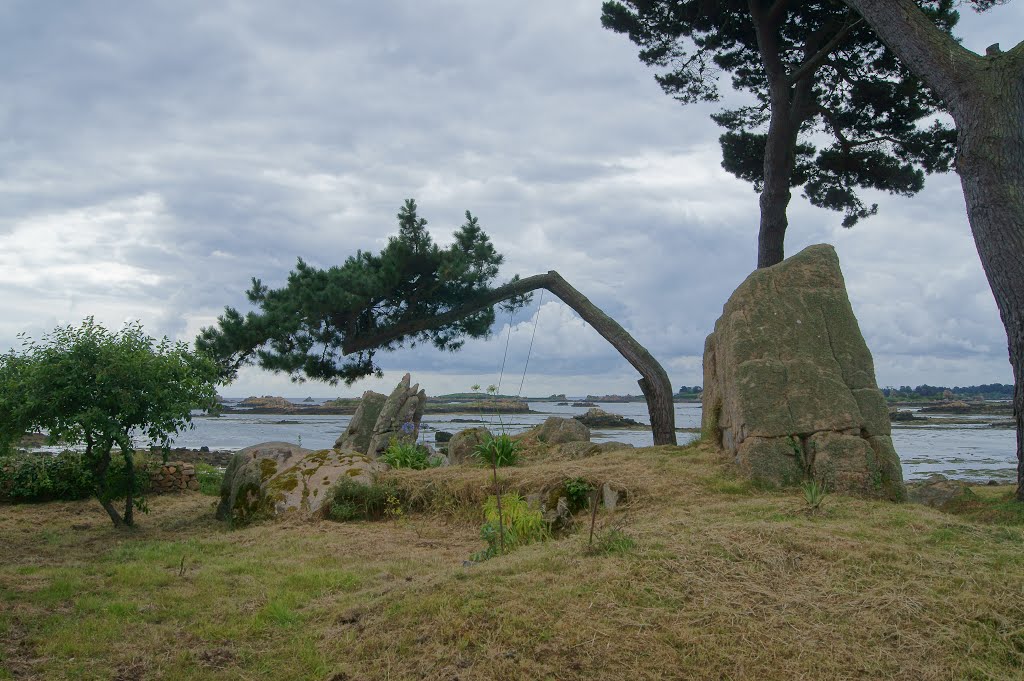 Île-de-Bréhat, France by Olga Ivanova