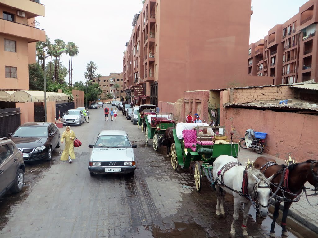 Marrakech, 2014Jun by Luís Boléo