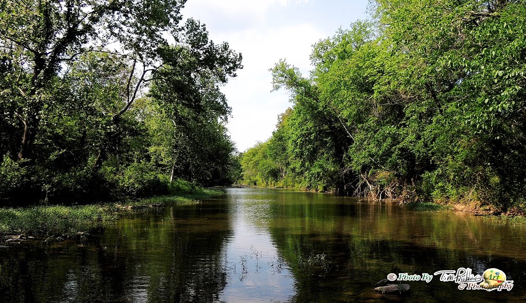 Sequoyah County, OK, USA by Ark Raven