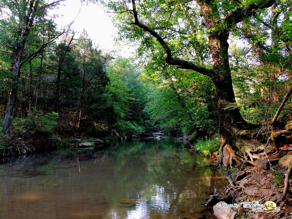 Cedarville Township, AR, USA by Ark Raven