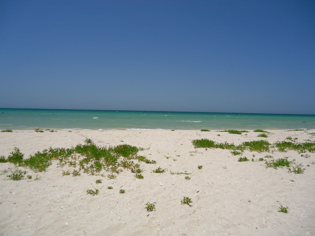 Sisal, Yucatán, México. by Misael Lavadores