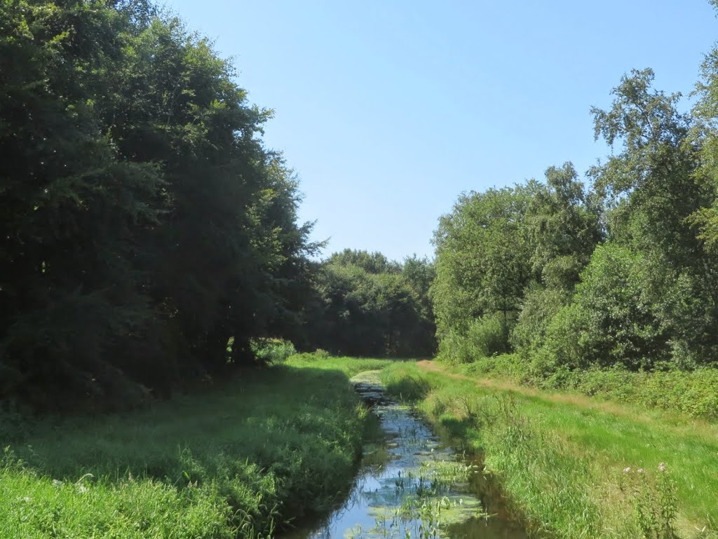 NL - Vortum-Mullem - Heiweg (Oeffeltse Raam) by Danny Danckaert