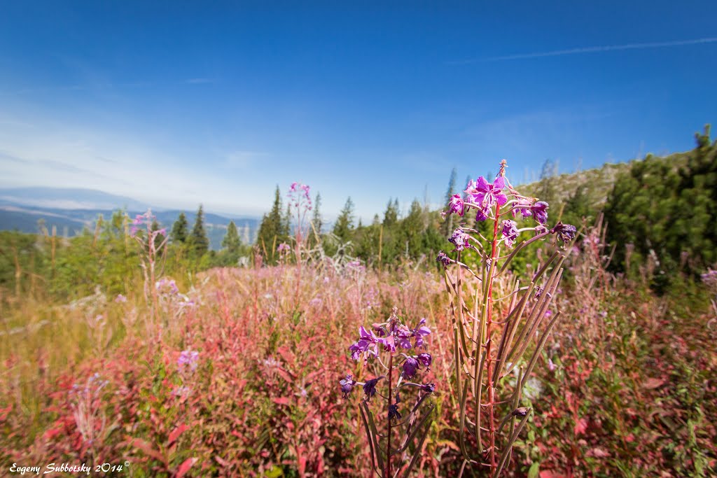 Samokov, Bulgaria by Evgeny Subbotsky