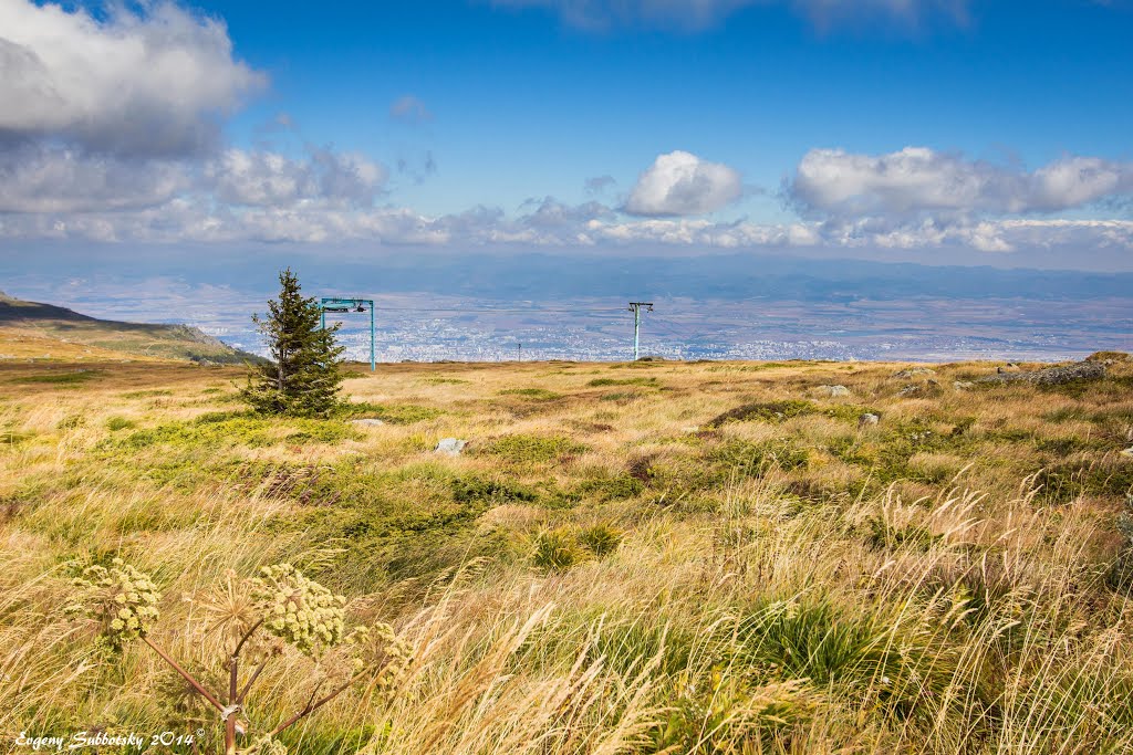 Rayon Vitosha, Bulgaria by Evgeny Subbotsky